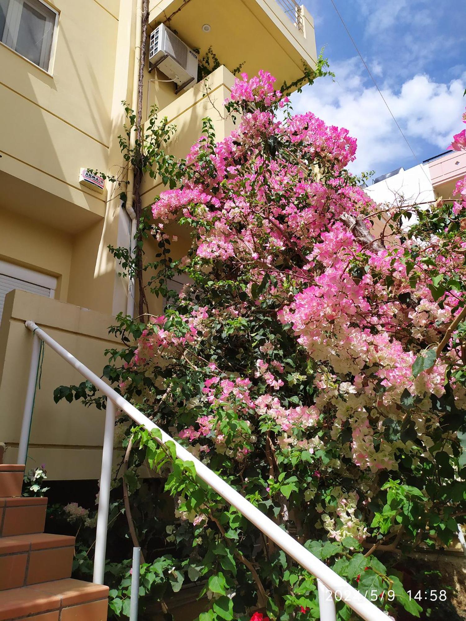 Georgia'S Family Apartment Heraklion  Luaran gambar
